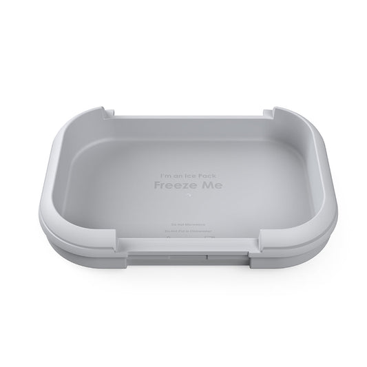 bentgo-chill-kids-replacement-ice-pack-p0 BGOCHIP.jpg