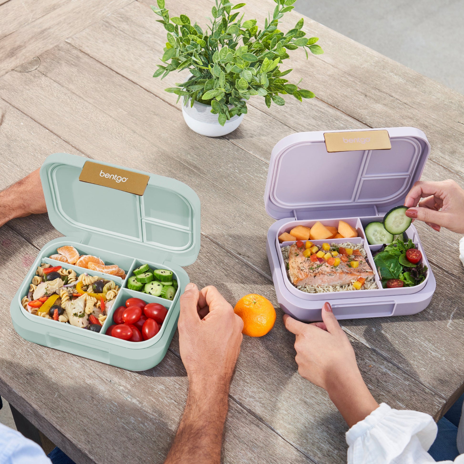 bentgo-modern-lunch-box-2-pack-g8 COSTCOBMCPRODUCTIMAGE_2.jpg